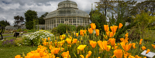 320x120 Dublin National-Botanic-Gardens