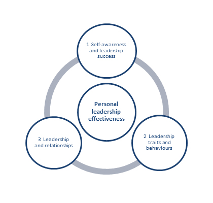 Failte Ireland - Personal Leadership Effectiveness | Lead And Develop ...